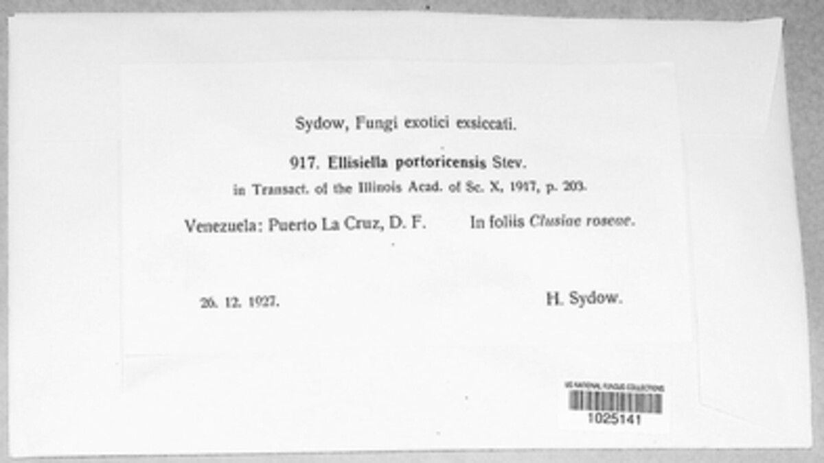 Beltraniella image